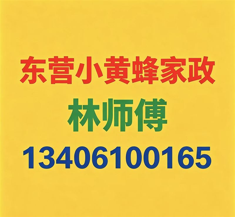 东营家政日常保洁|新房开荒保洁|东营家电清洗|垦利广饶河口利津|沙发床垫窗帘地毯